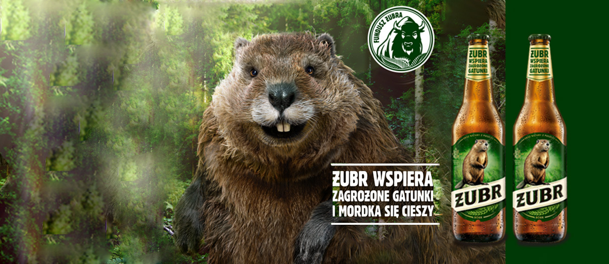 Piwo Żubr